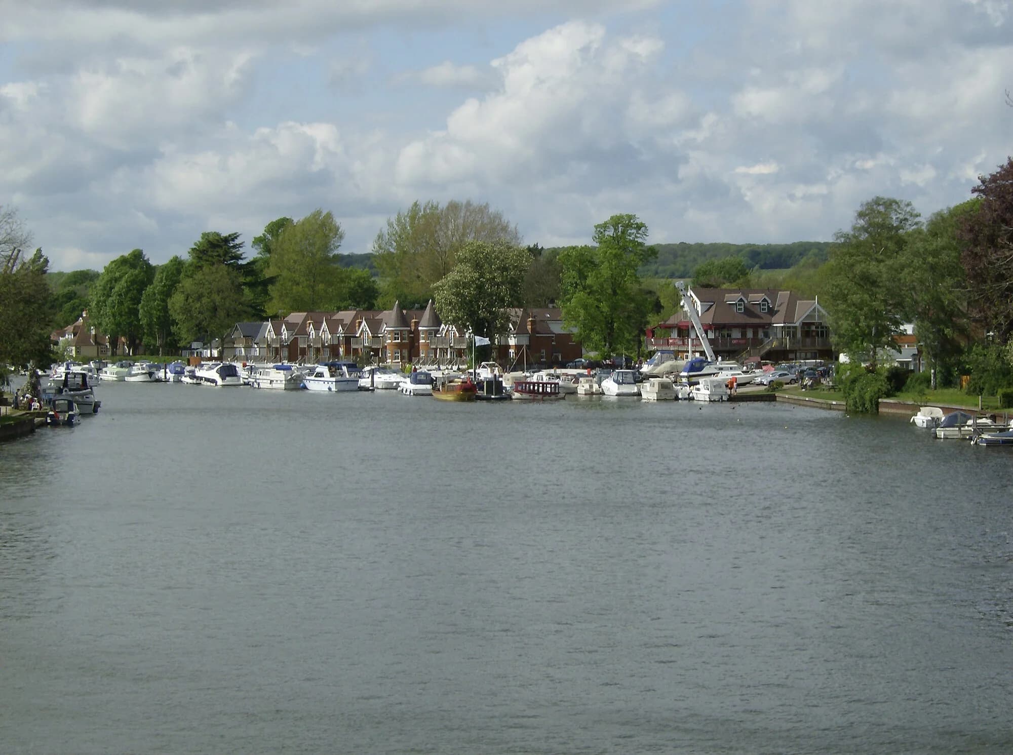 Vets in Bourne End