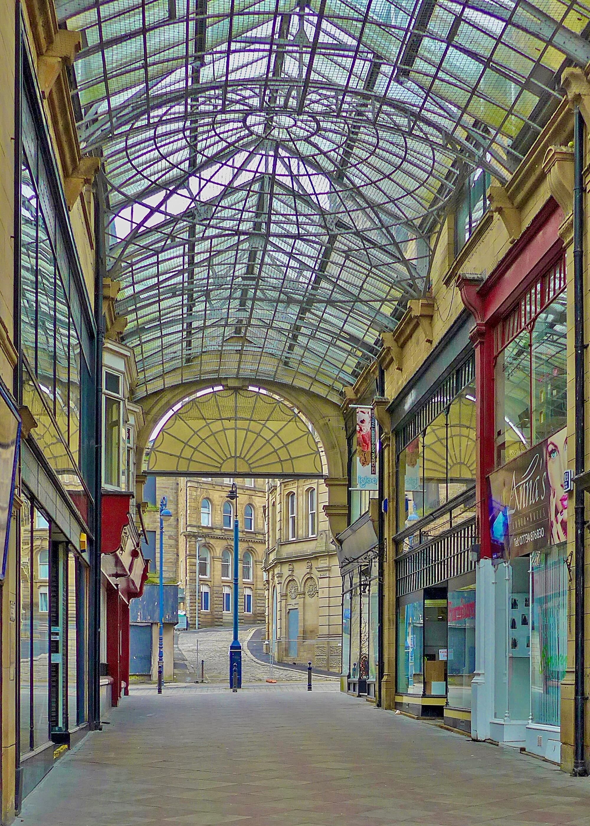 Vets in Dewsbury