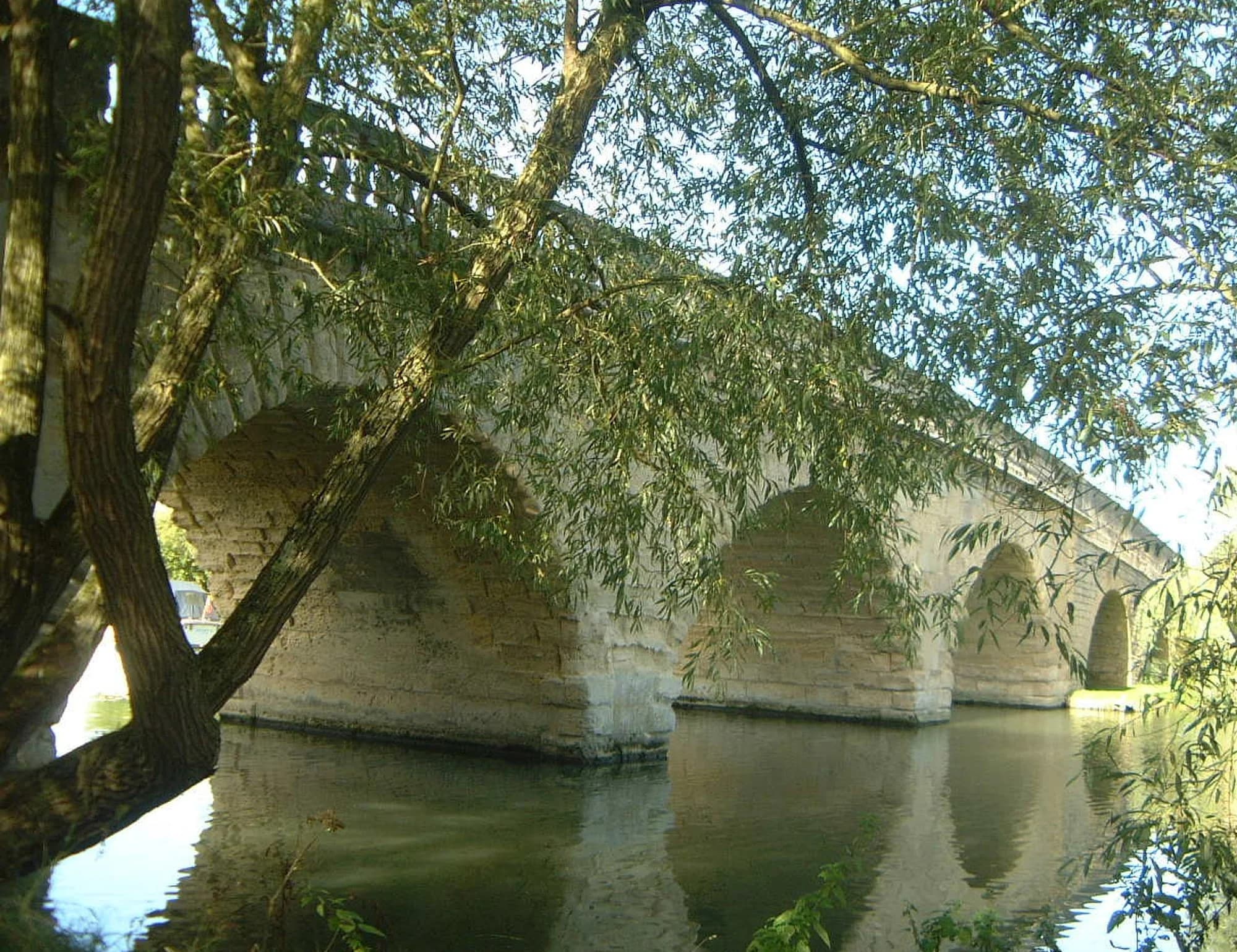 Vets in Eynsham