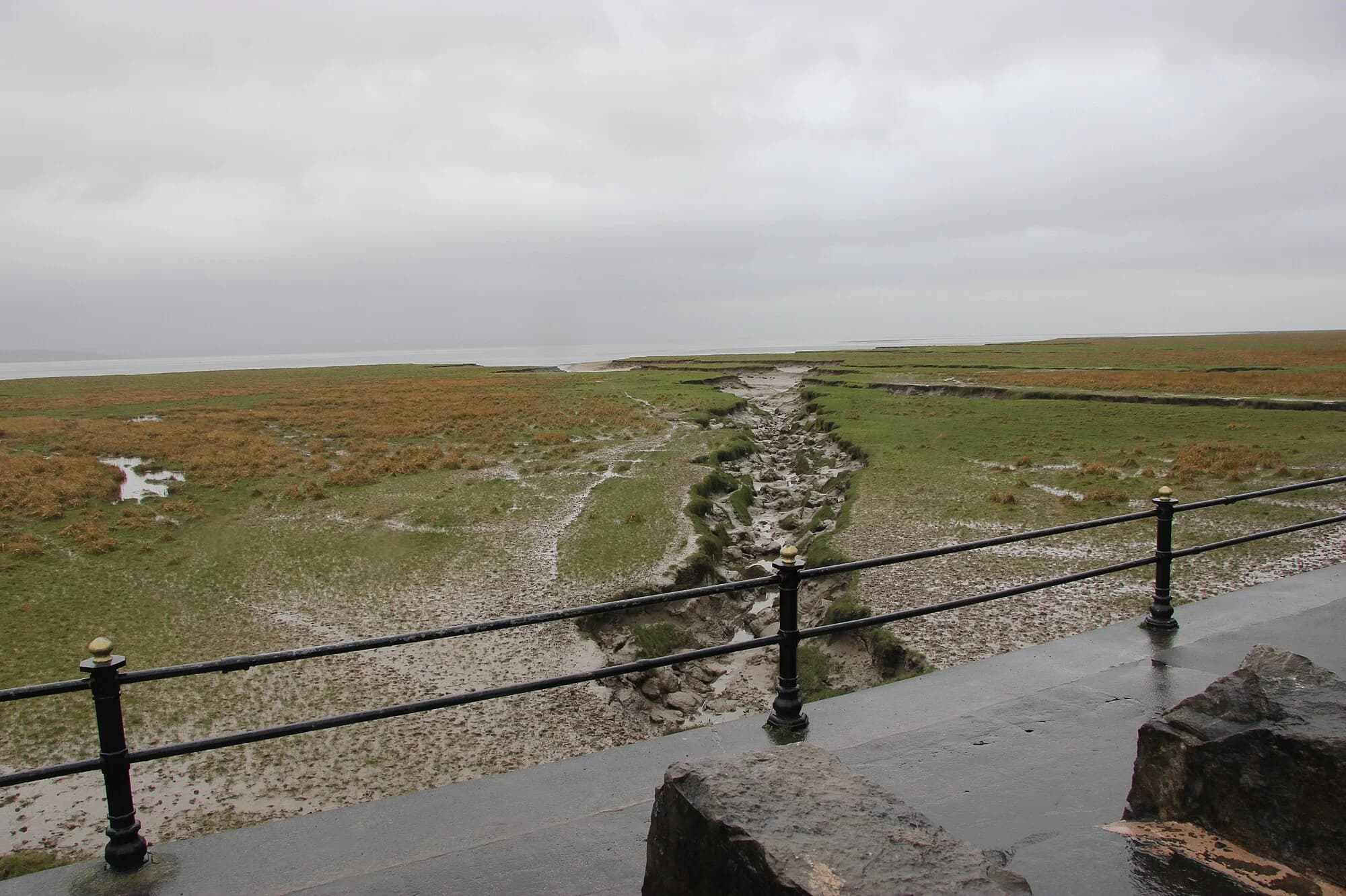 Vets in Grange-Over-Sands