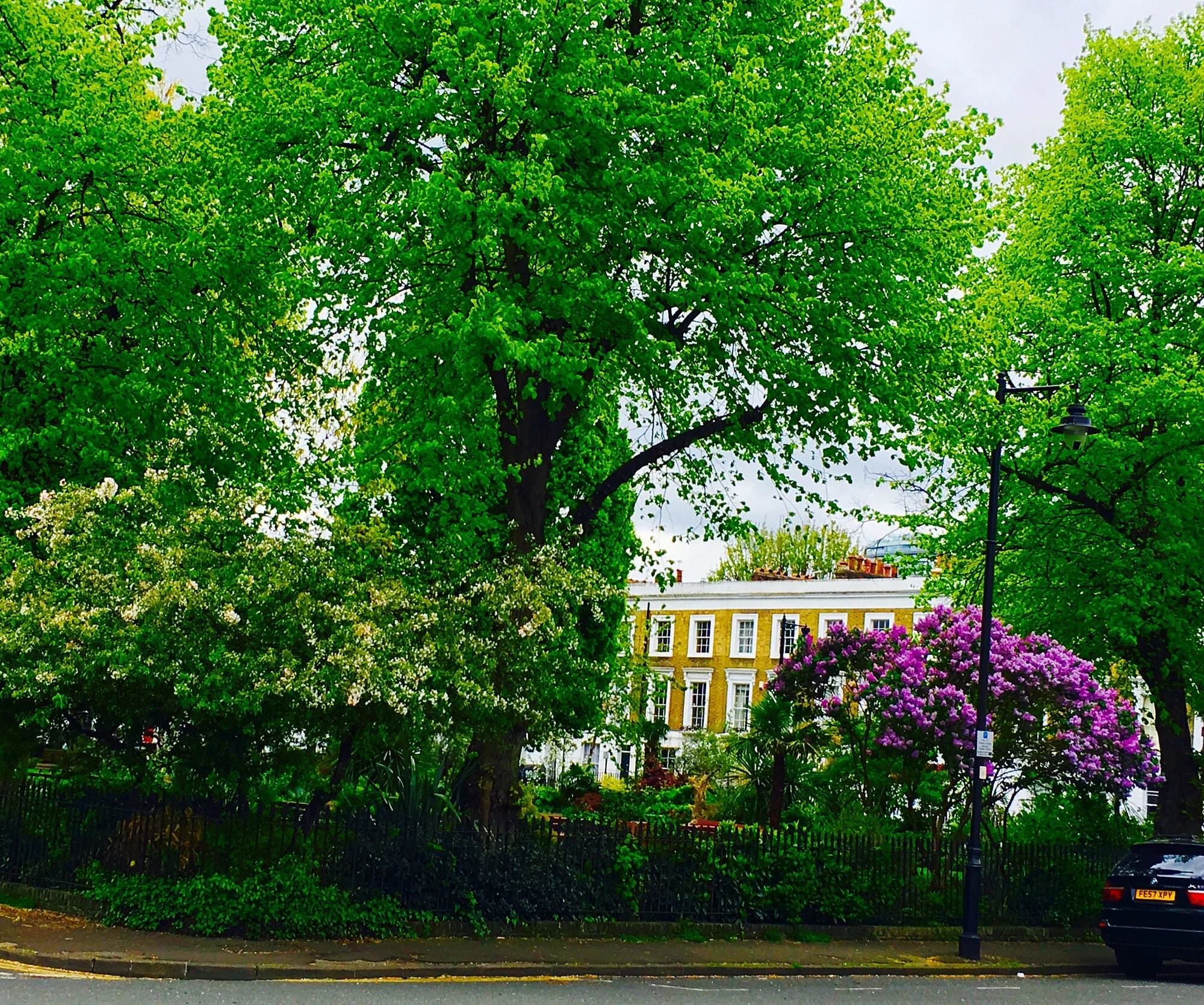 Vets in Islington
