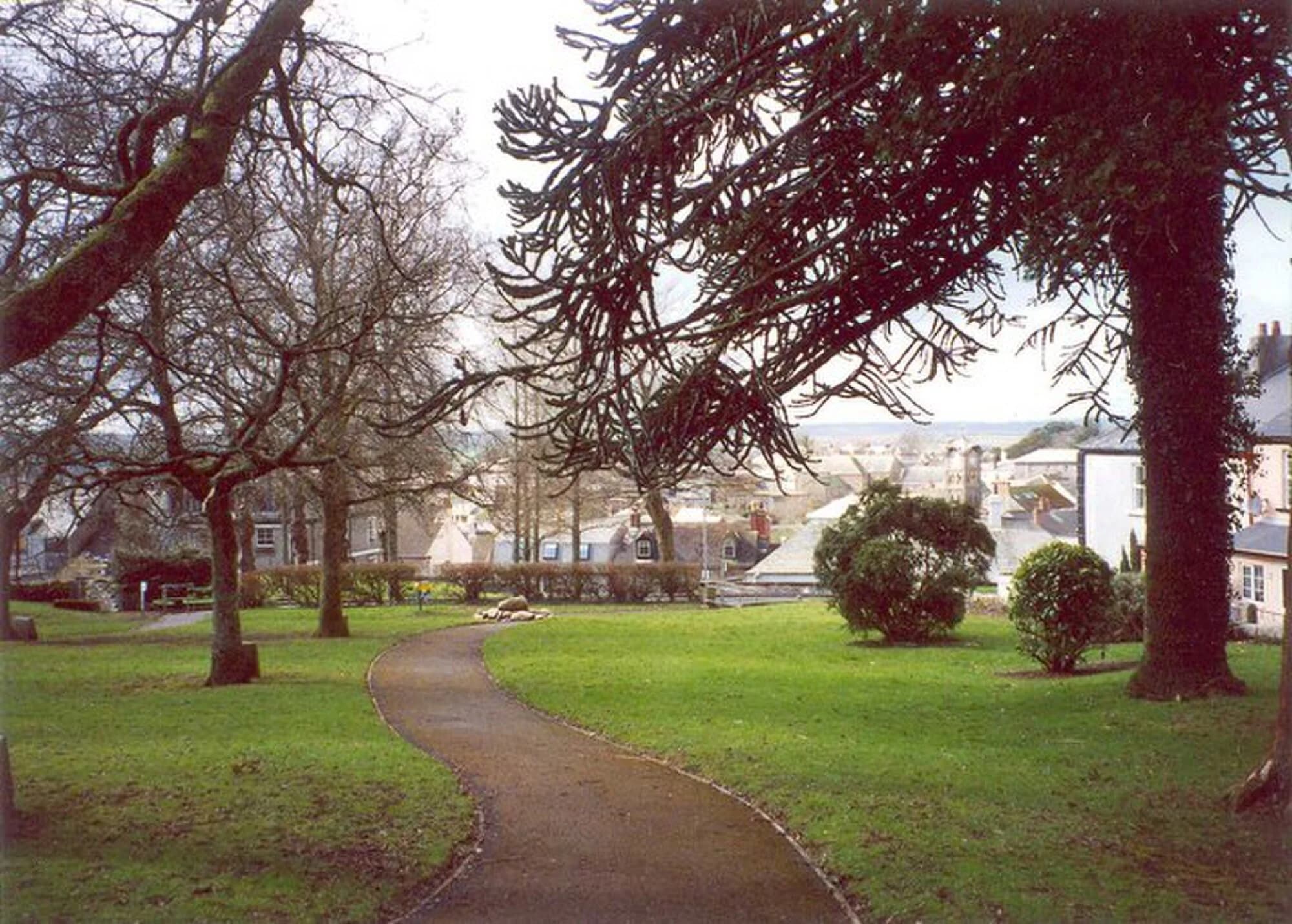 Vets in Liskeard
