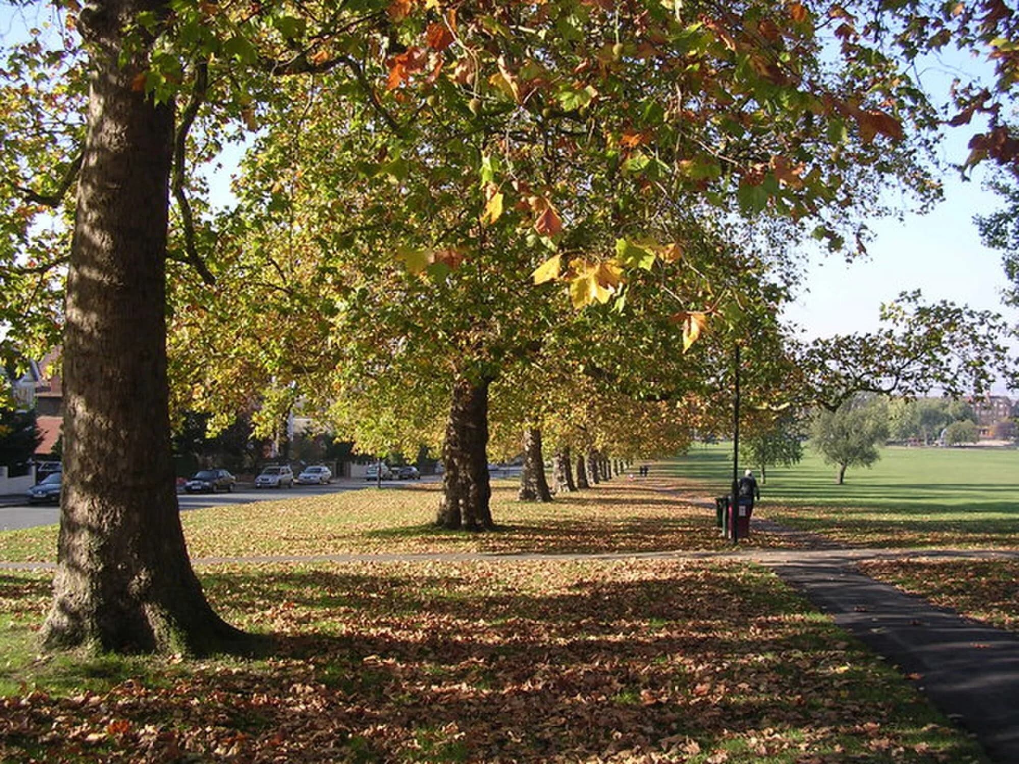 Vets in Streatham