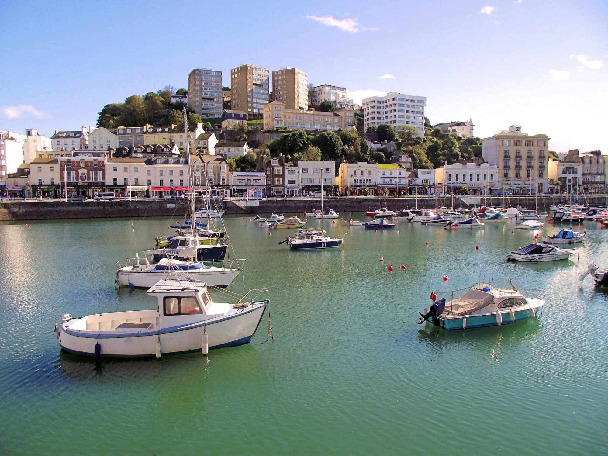 Vets in Torquay
