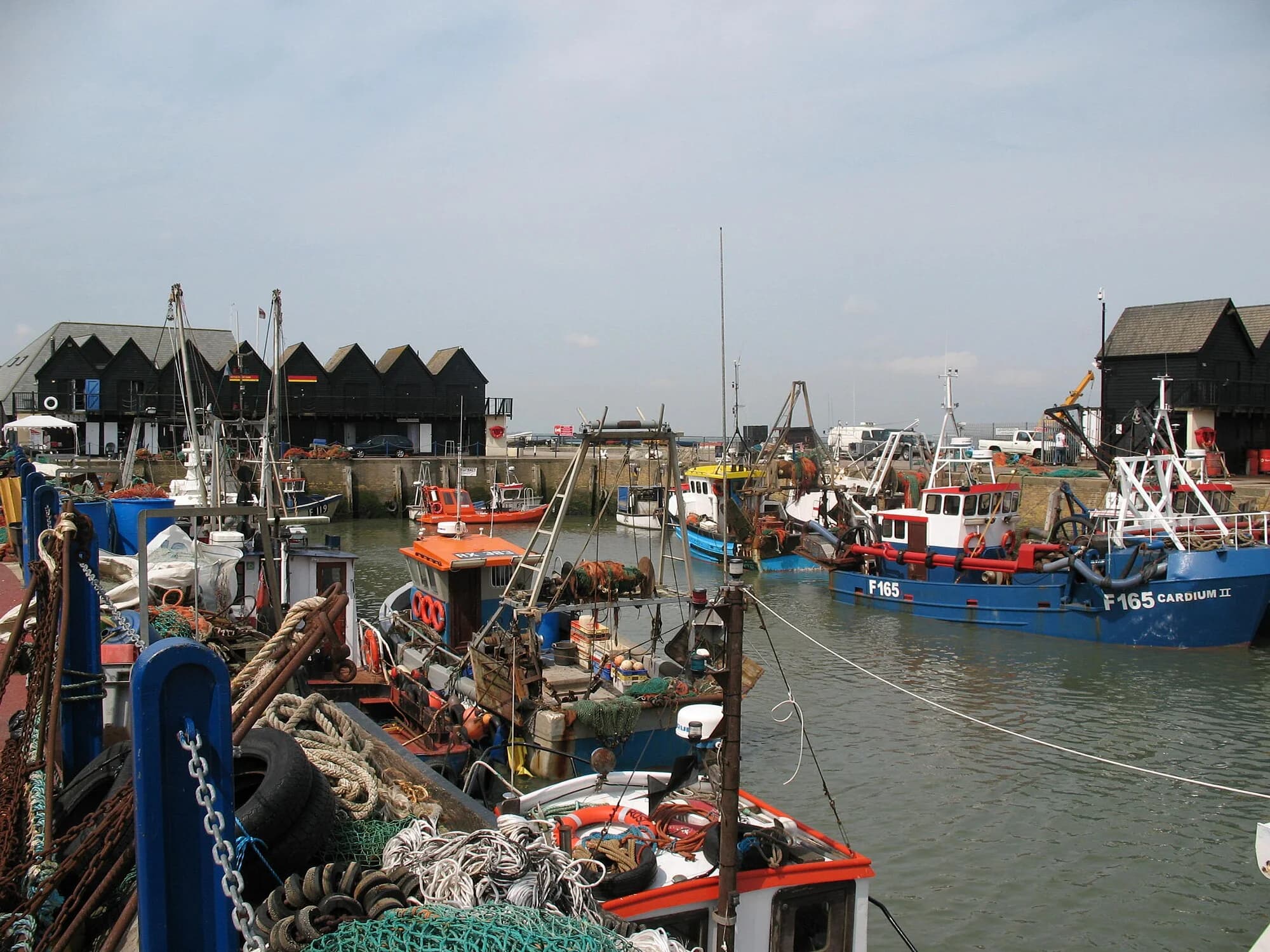 Vets in Whitstable