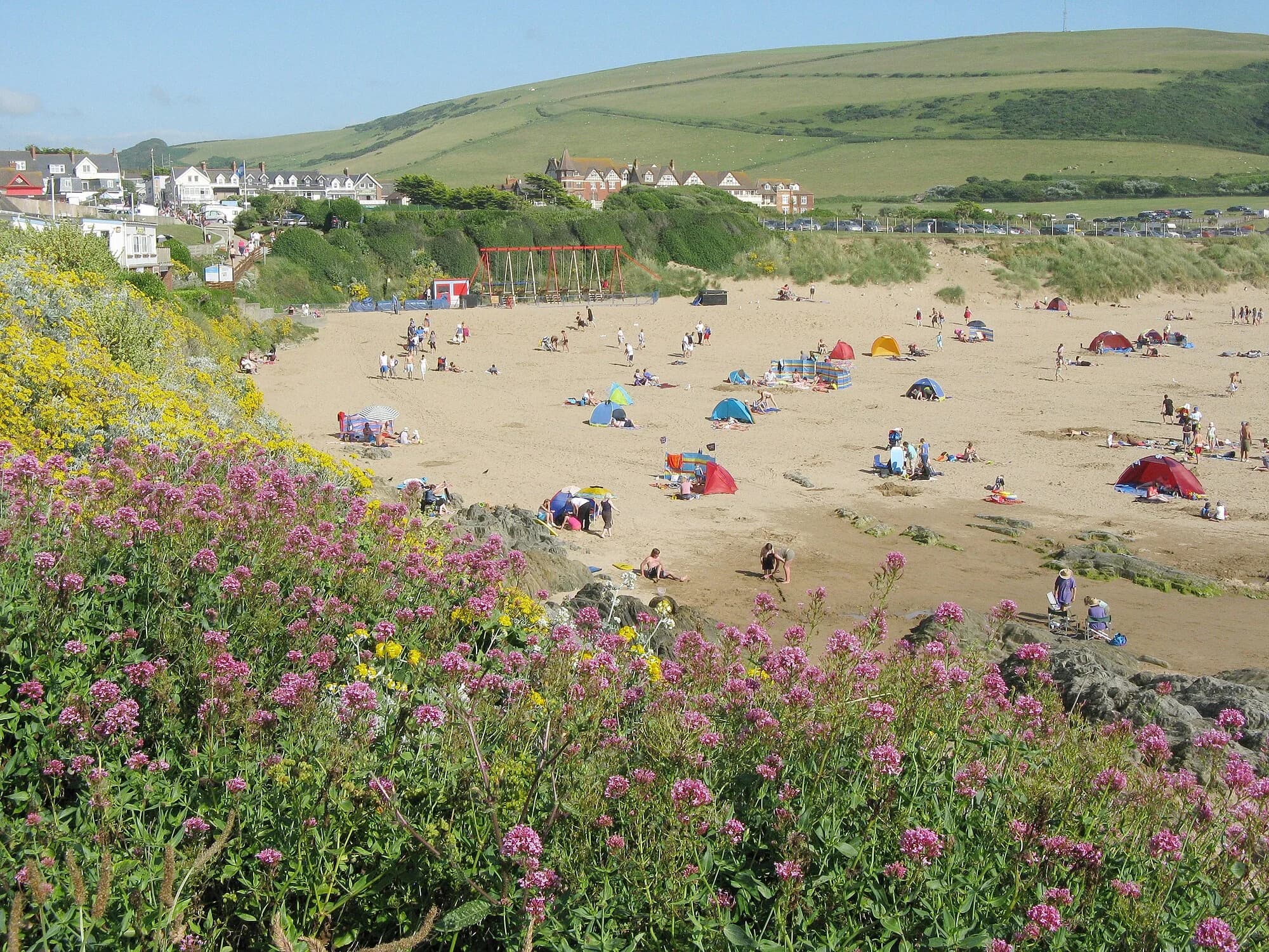 Vets in Woolacombe